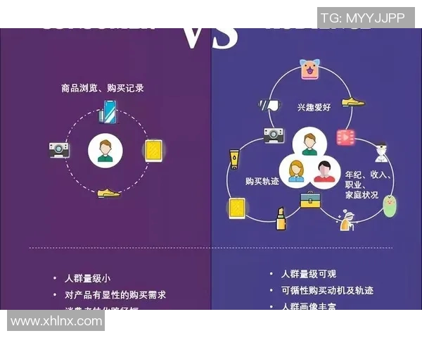 社交媒体话题热度分析揭示公众关注焦点与趋势变化探讨